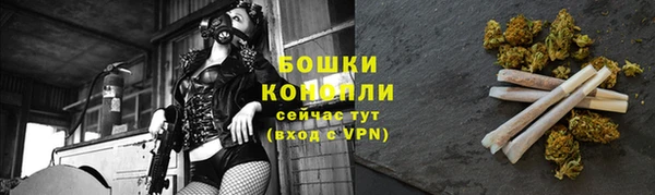 бошки Дмитриев