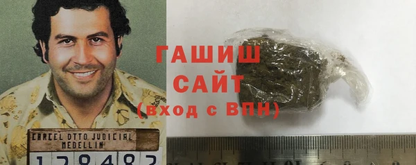 apvp Гусев