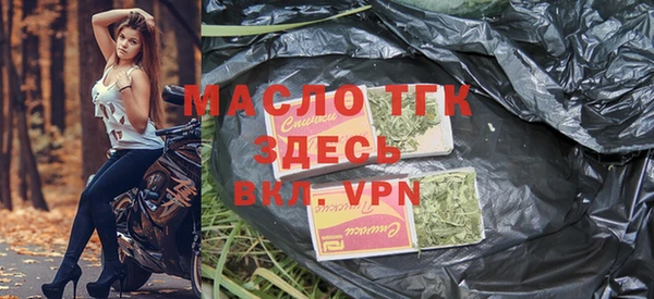 apvp Гусев
