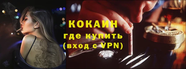 apvp Гусев