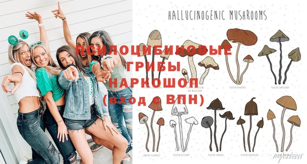 МДПВ Гусиноозёрск