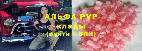 apvp Гусев