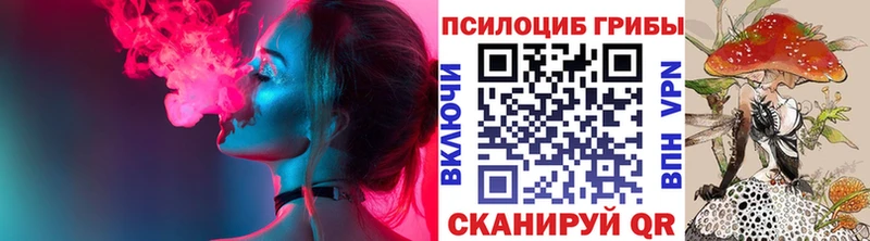 площадка состав  МЕГА   Междуреченск  Галлюциногенные грибы прущие грибы 