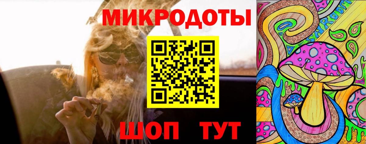 Псилоцибиновые грибы Cubensis  Междуреченск 