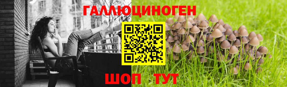Галлюциногенные грибы мухоморы  Вход с VPN  Междуреченск 
